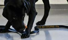 善良在人间传递