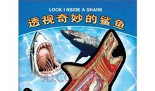 奇妙有趣的气象