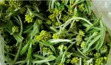 做一个水一样的人