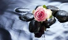 书开阔了我的眼界