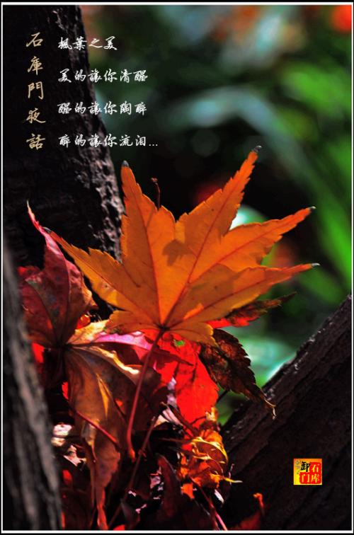 下降_800字