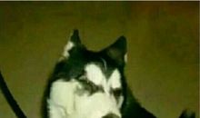 这样的人让我忍俊不禁