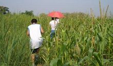 开心的乡下生活