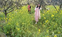 走在春天的路上