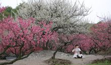 人生之路，且歌且行