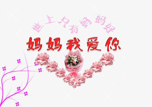 我爱我的母亲。