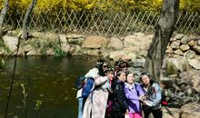 美丽的大珠山生态园