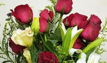 又是母爱飘香时