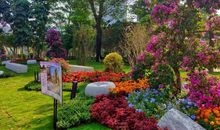 花香里的小幸福