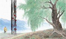 希望，让生命产生奇迹——读《青海高原一株柳》有感