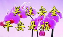 我是雨，陪着你们一起