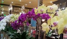 一路春风一路歌