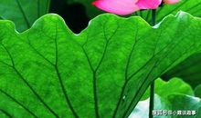 静静地接受成长