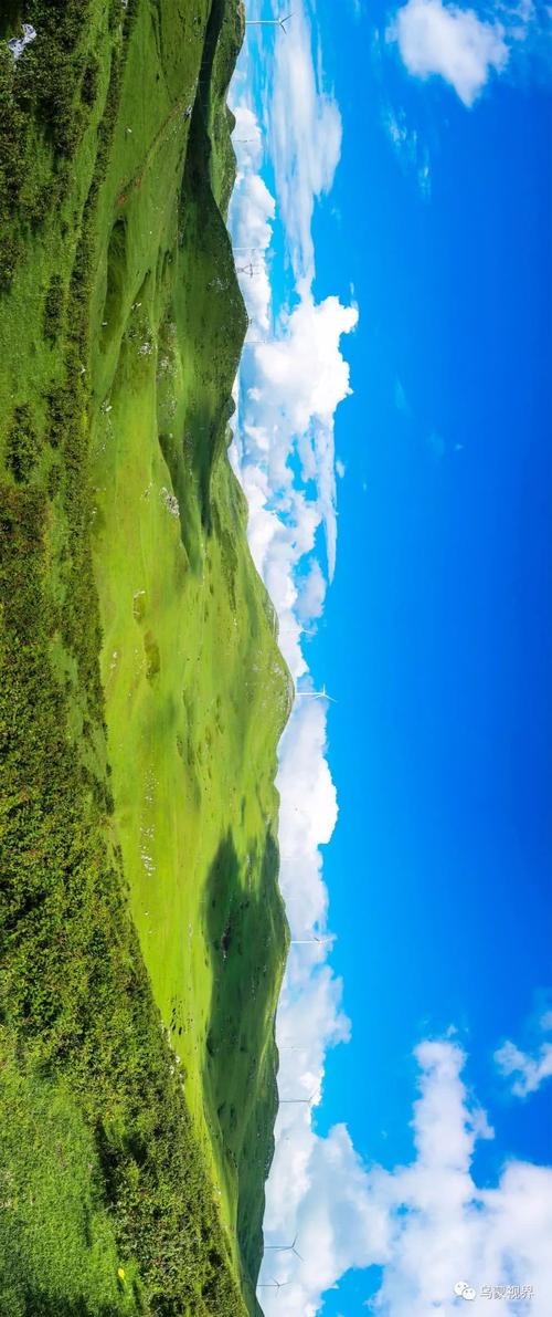 阅读“今年夏天”
