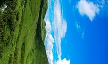 读《这个夏天》有感