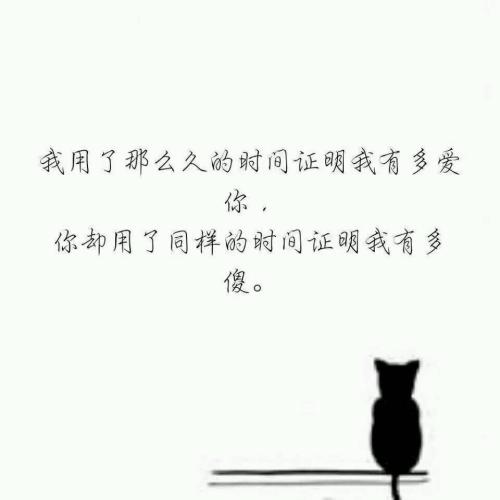 说