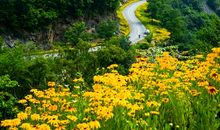 我陶醉在大自然中