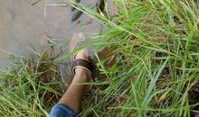 不要向挫折低头——读《钓不到鱼，就去够苹果》有感