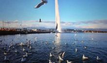 只要热爱生命，一切都在意料之中