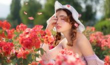 记忆深处的阳光