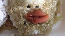 这一次我选择面对