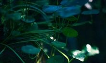 珍惜从一点一滴做起——读《风舞九天》后感