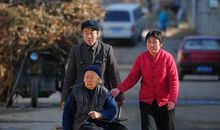 无私的父爱——读《雪域豹影》有感