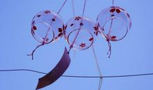 风铃摇逸，回忆生活