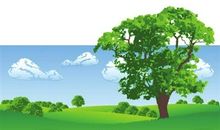 爸爸，您就是我心中的大树