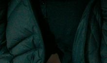 我愿与风交朋友