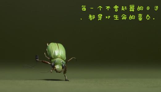 也是生命