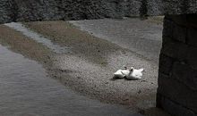 暗云下的那一只眼睛