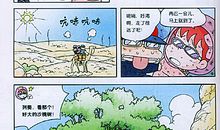 《撒哈拉沙漠求生记》读后感