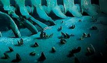 我愿意和自然万物做朋友