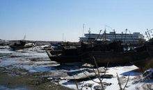 我的一次故园行