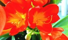 又是一年春真好