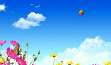 在阳光灿烂的日子里作文