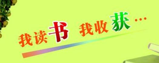 阅读·练习·收获