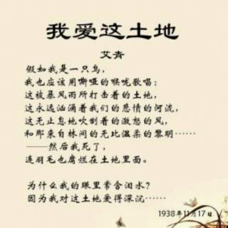 我喜欢这片土地