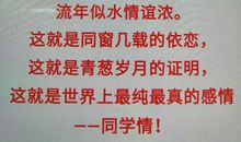 我最欣赏的同学