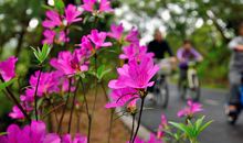 让给予之花绽放