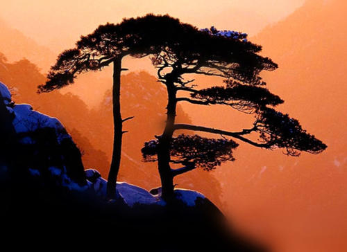 走在风景恒定的心