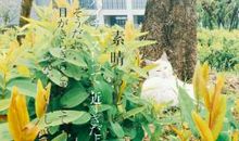 校门口的那双眼睛