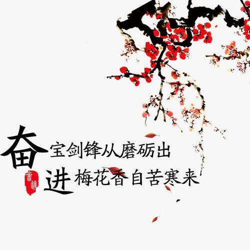 苦寒