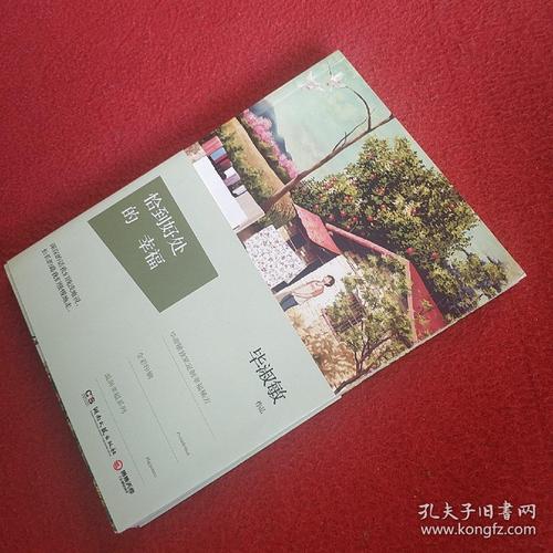 凝视着洛菲作文