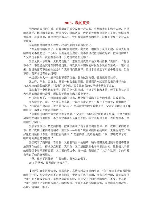 那个夏天的晚上的成分