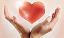 最美丽的那双手