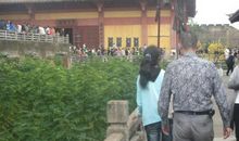 听，那沉默的声音