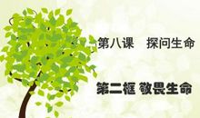 生命的颜色议论文