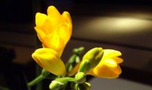 藏在角落里的资源